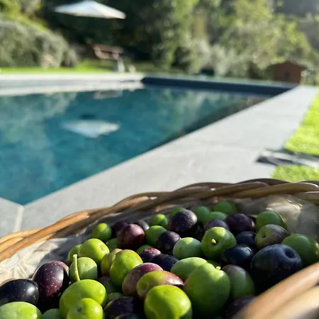 Nyaraló Casa Sunset Hill *