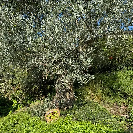Casa Sunset Hill * Μπολόνια