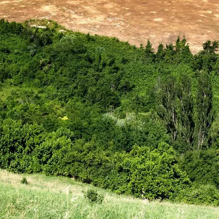 Casa Sunset Hill * Bologne