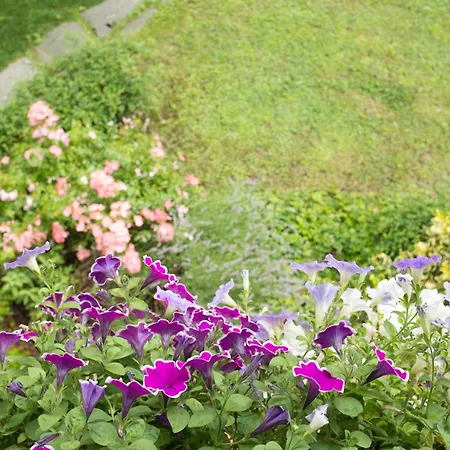 度假居 Casa Sunset Hill