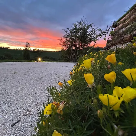 Casa Sunset Hill * Bologne