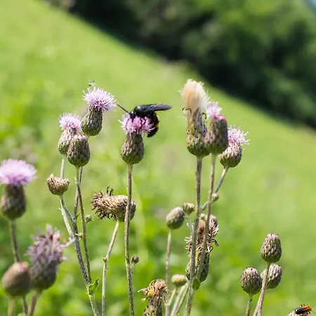 Casa Sunset Hill 度假居 博洛尼亚