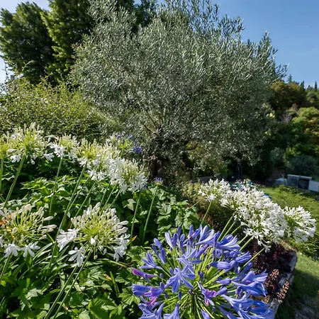 Casa Sunset Hill Nyaraló *