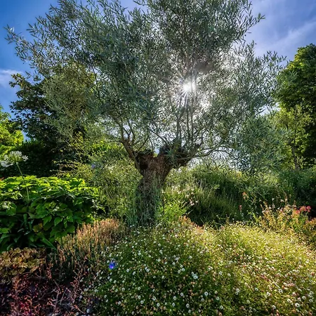 Casa Sunset Hill 度假居 博洛尼亚