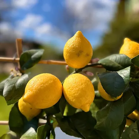 Casa Sunset Hill Сasa de vacaciones Bolonia