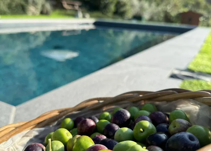 Holiday home Casa Sunset Hill *