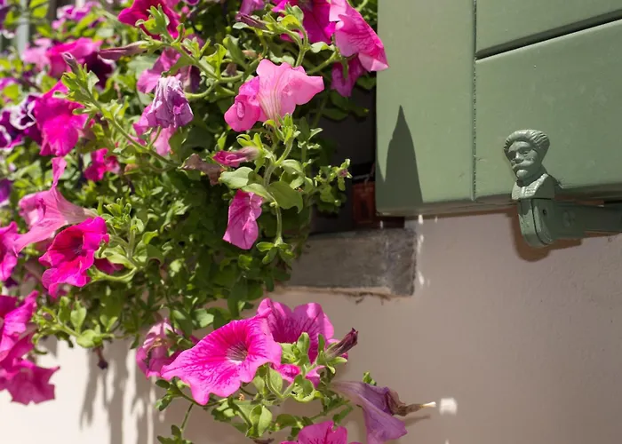 Casa Sunset Hill بولونيا