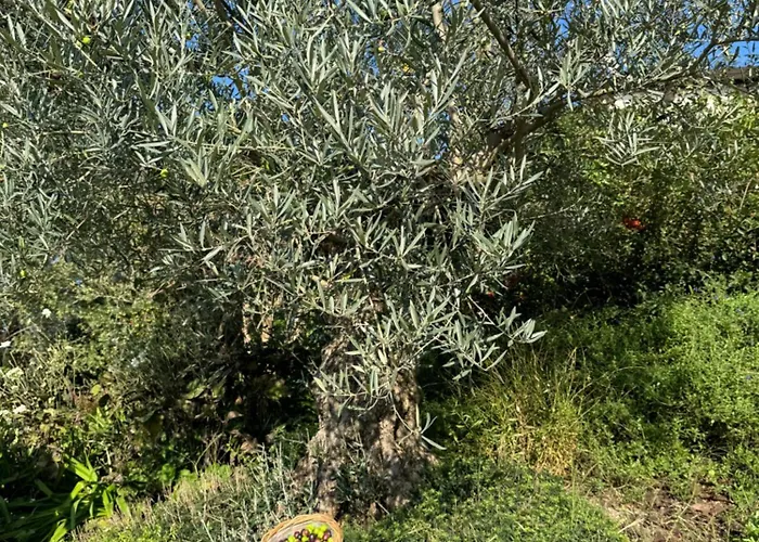 Casa Sunset Hill * Bologna