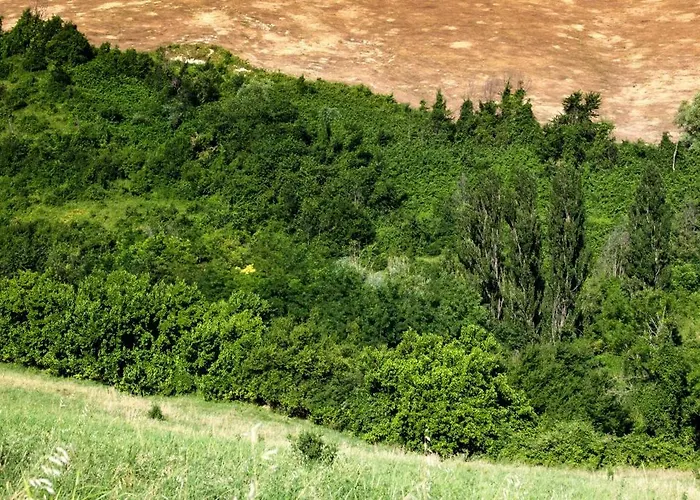 Casa Sunset Hill * بولونيا