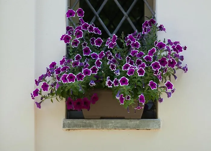 Casa Sunset Hill Holiday home