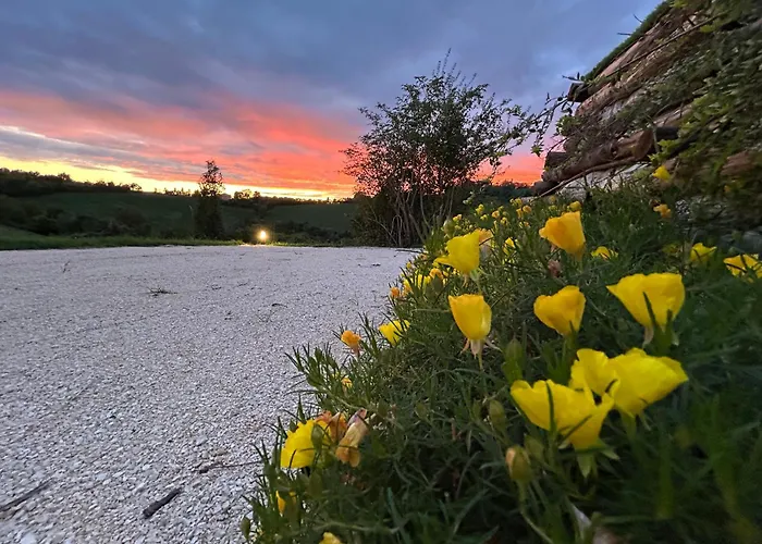 Casa Sunset Hill * بولونيا