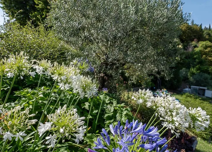 Casa Sunset Hill 펜션 *