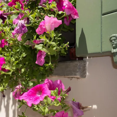 Casa Sunset Hill بولونيا