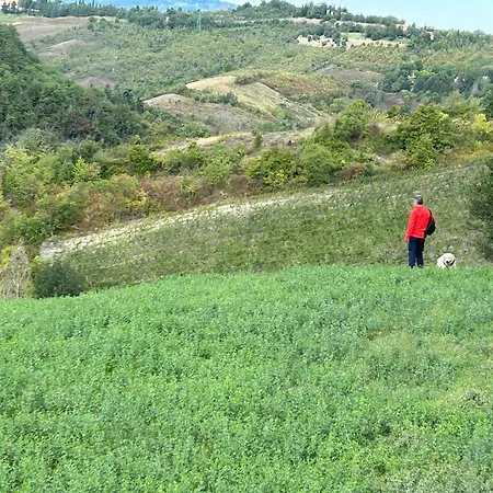 Casa Sunset Hill * بولونيا