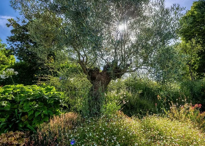 Casa Sunset Hill בית נופש בולוניה