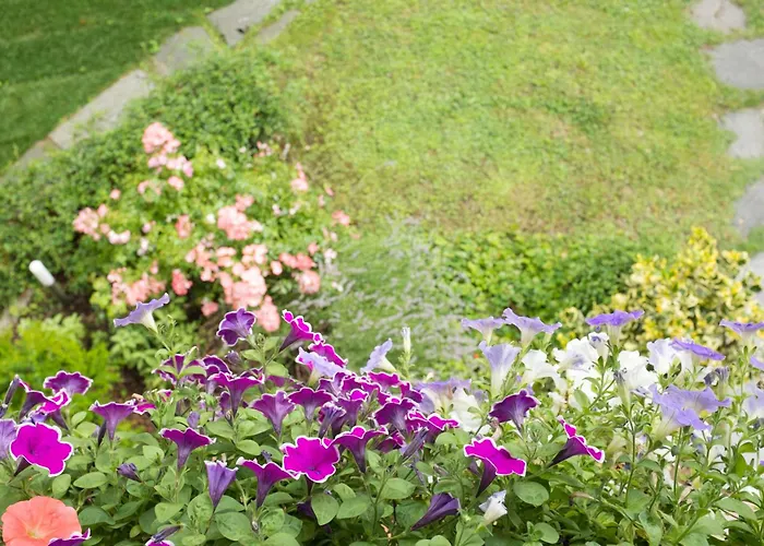 Hébergement de vacances Casa Sunset Hill